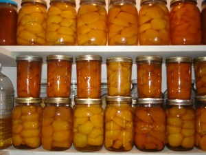 Peaches Anyone? Wonderful canned peaches 